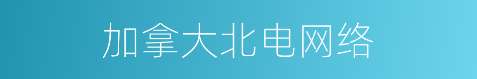 加拿大北电网络的同义词