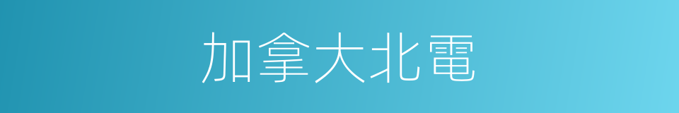 加拿大北電的同義詞