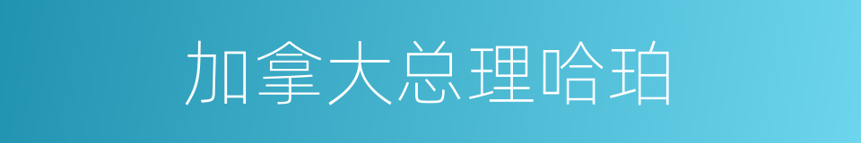 加拿大总理哈珀的同义词