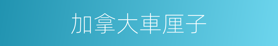加拿大車厘子的同義詞