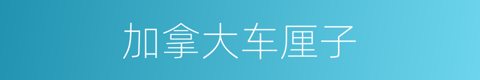加拿大车厘子的同义词