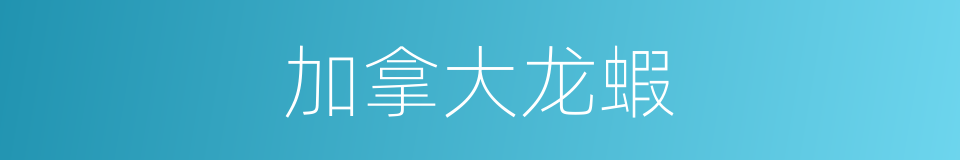 加拿大龙蝦的同義詞