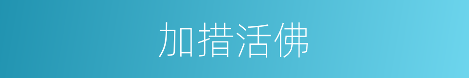 加措活佛的同义词