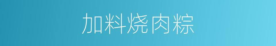 加料烧肉粽的同义词