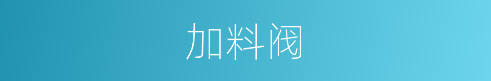 加料阀的同义词