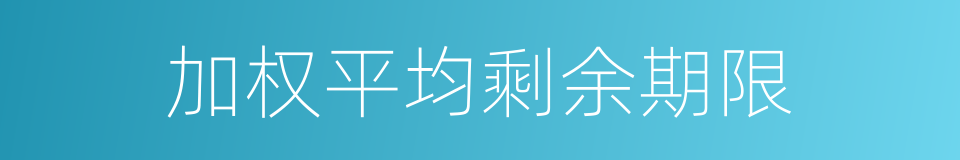 加权平均剩余期限的同义词