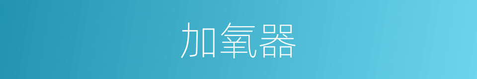 加氧器的同义词