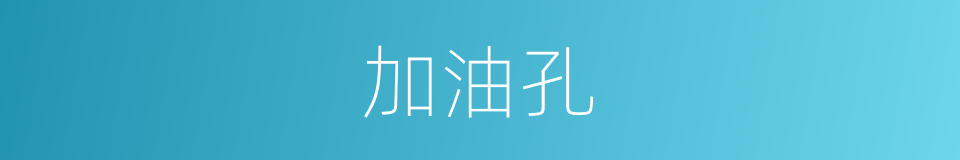 加油孔的同义词