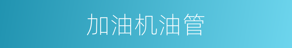 加油机油管的同义词