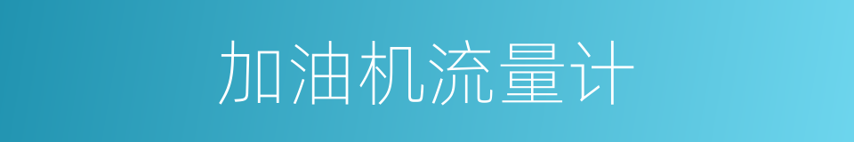 加油机流量计的同义词