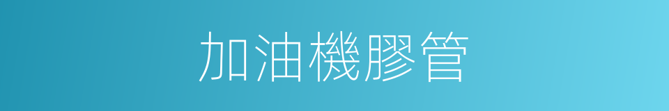 加油機膠管的同義詞