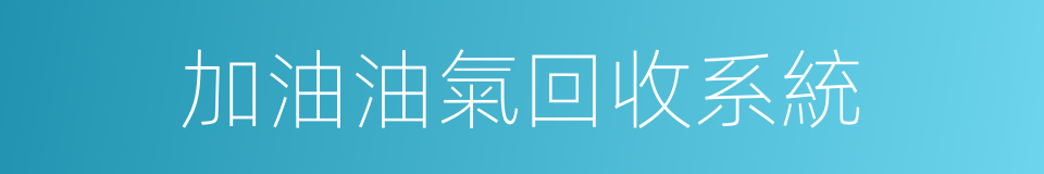 加油油氣回收系統的同義詞
