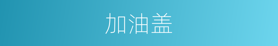 加油盖的同义词