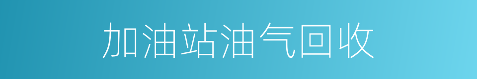 加油站油气回收的同义词