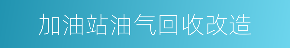 加油站油气回收改造的同义词