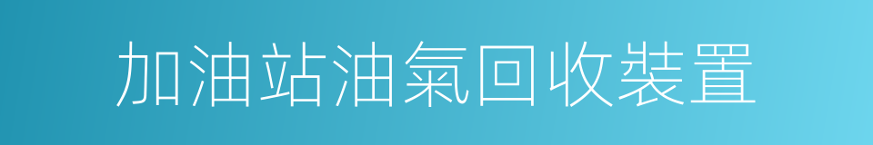 加油站油氣回收裝置的同義詞