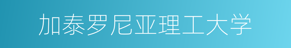 加泰罗尼亚理工大学的同义词