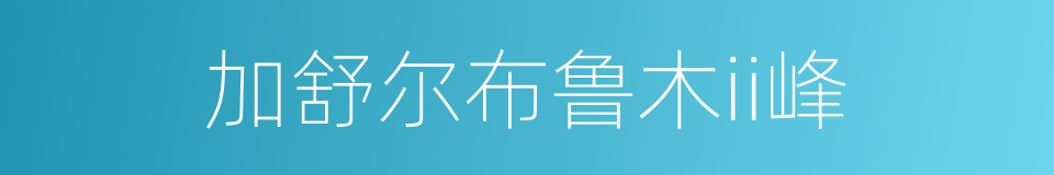 加舒尔布鲁木ii峰的同义词