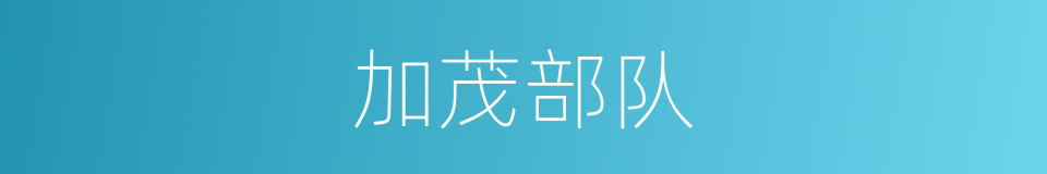 加茂部队的同义词
