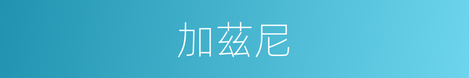 加茲尼的同義詞
