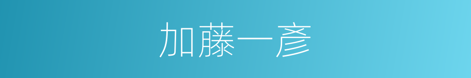 加藤一彥的同義詞
