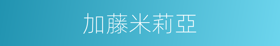 加藤米莉亞的同義詞