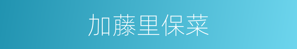 加藤里保菜的同义词