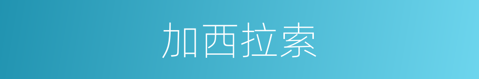 加西拉索的同义词