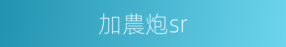 加農炮sr的同義詞