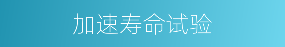 加速寿命试验的同义词