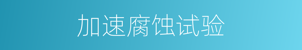加速腐蚀试验的同义词