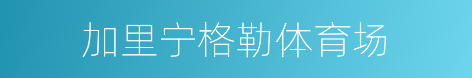 加里宁格勒体育场的同义词