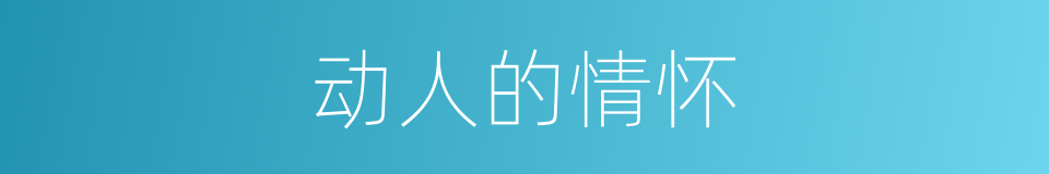 动人的情怀的同义词