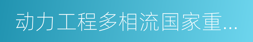 动力工程多相流国家重点实验室的同义词