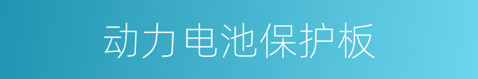 动力电池保护板的同义词
