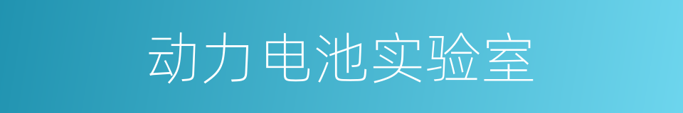 动力电池实验室的同义词