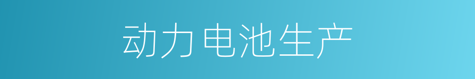 动力电池生产的同义词