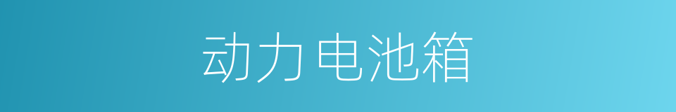 动力电池箱的同义词