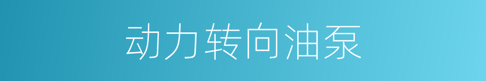 动力转向油泵的同义词