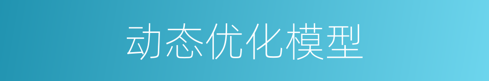动态优化模型的同义词