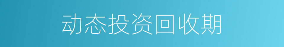 动态投资回收期的同义词