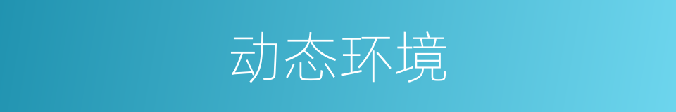 动态环境的同义词
