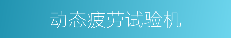 动态疲劳试验机的同义词