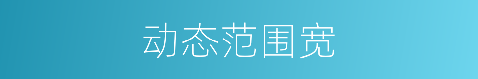 动态范围宽的同义词