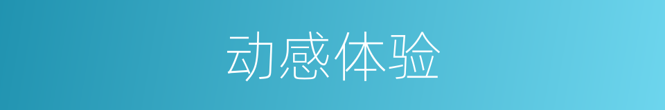 动感体验的同义词
