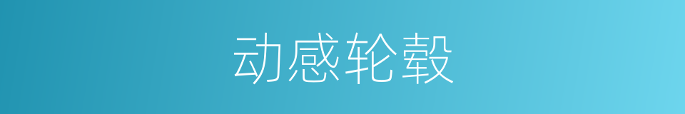 动感轮毂的同义词