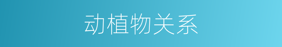 动植物关系的同义词