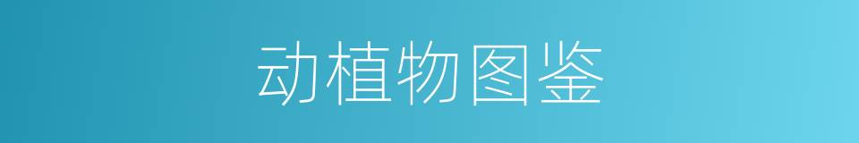 动植物图鉴的同义词