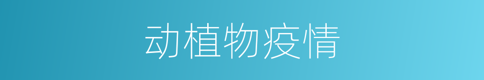 动植物疫情的同义词