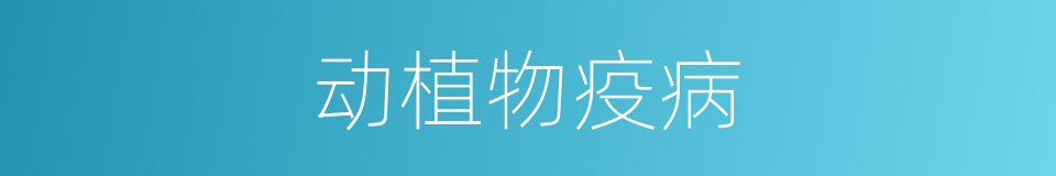 动植物疫病的同义词